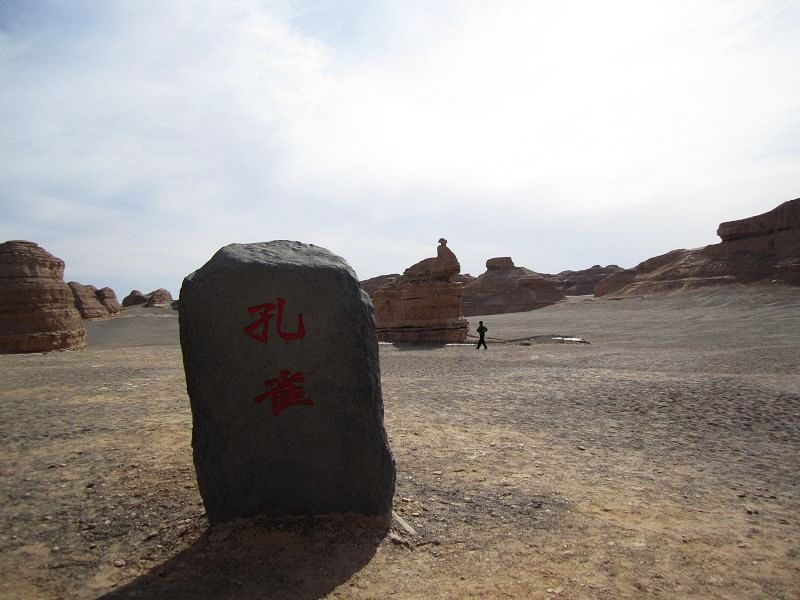 103.jpg