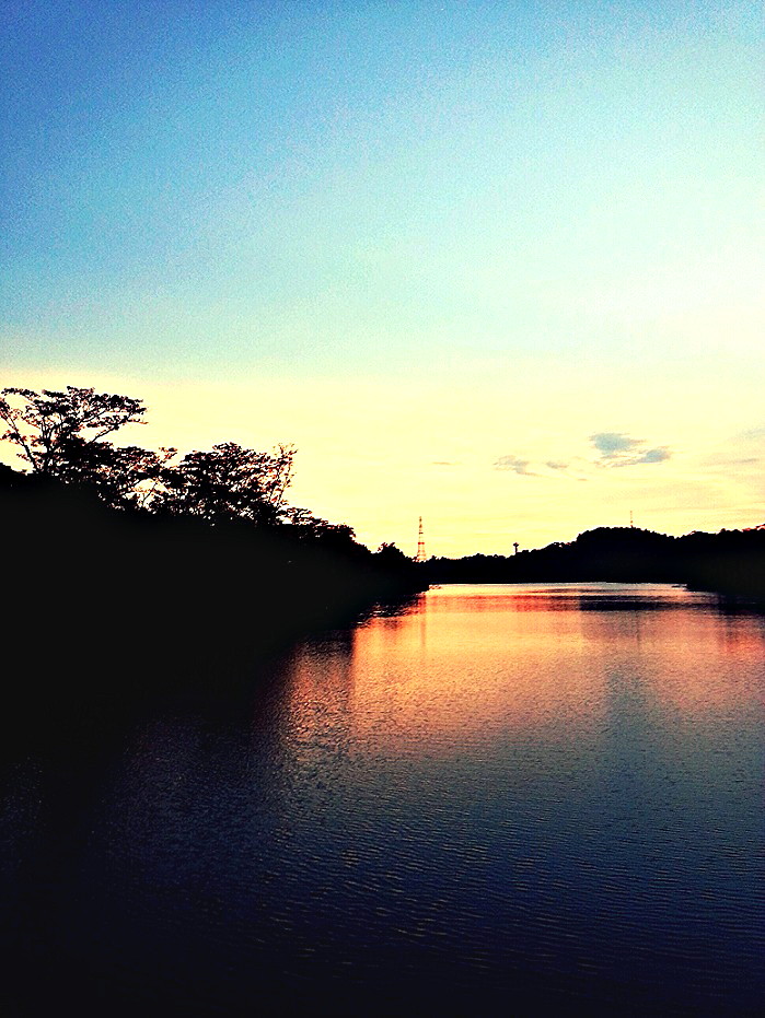 IMG_20130827_085742.jpg