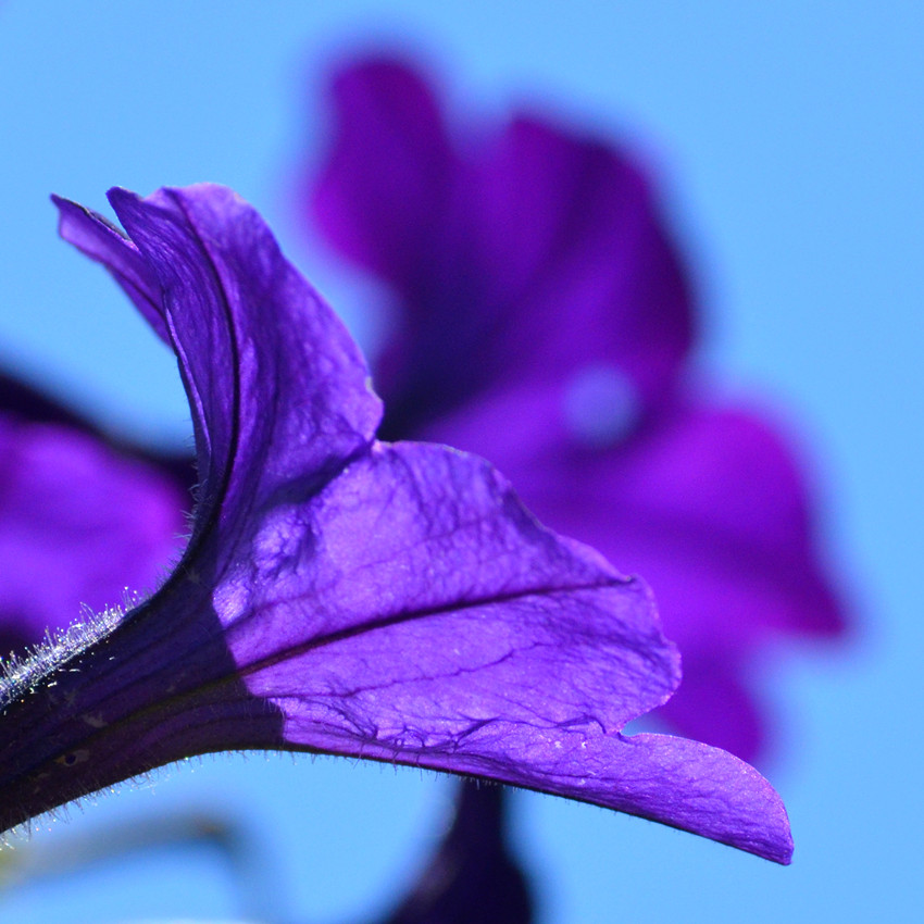 DSC_8417_8.jpg