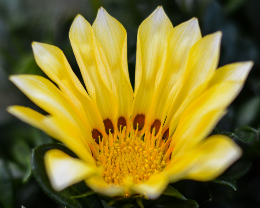 DSC_1115_67.jpg