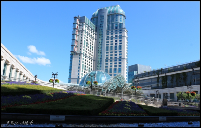 20130728 192_conew1.jpg