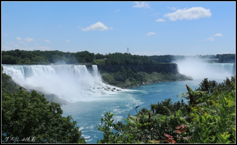 20130728 184_conew1.jpg