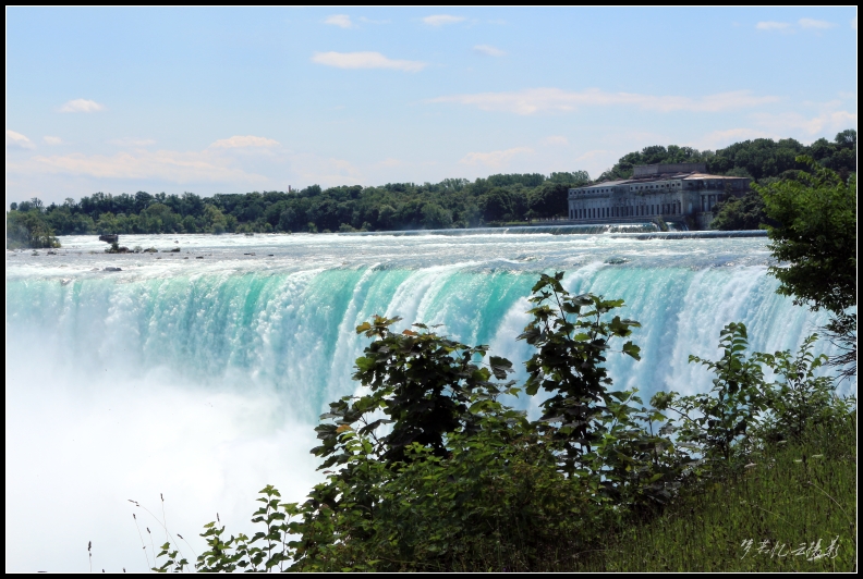 20130728 073_conew1.jpg