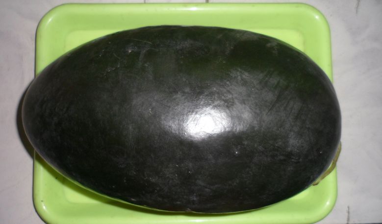 SAM_5461_.jpg