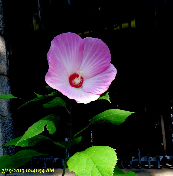 IMG_0001_4359.jpg