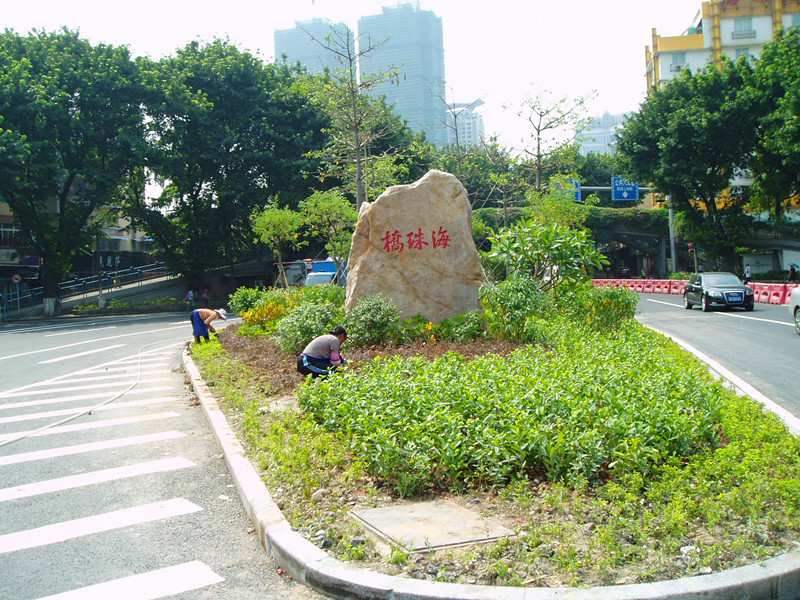 P1010016_.jpg