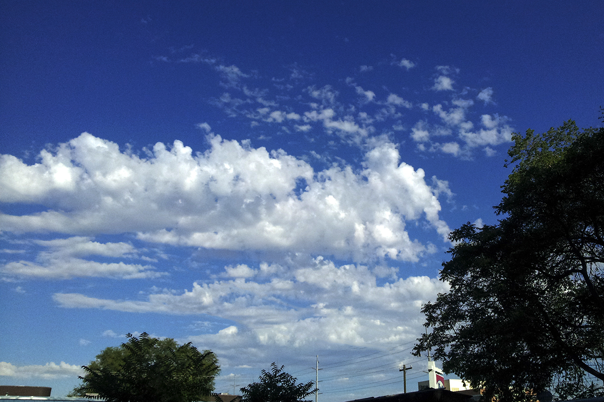 20130731_084843-1.jpg