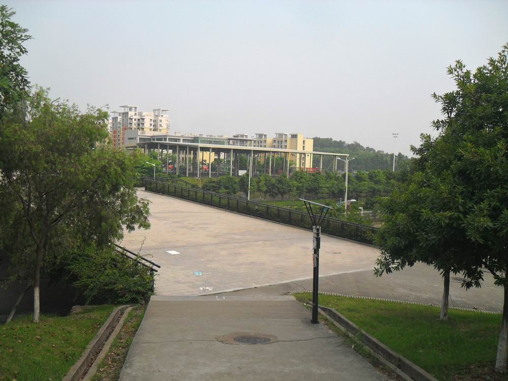 SAM_0144.JPG