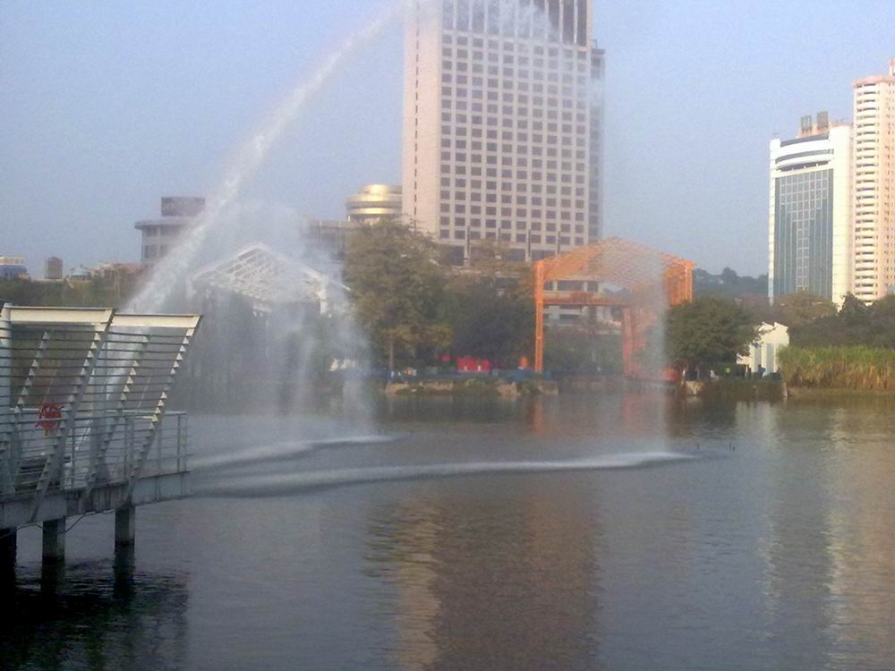 DSC_1116.jpg