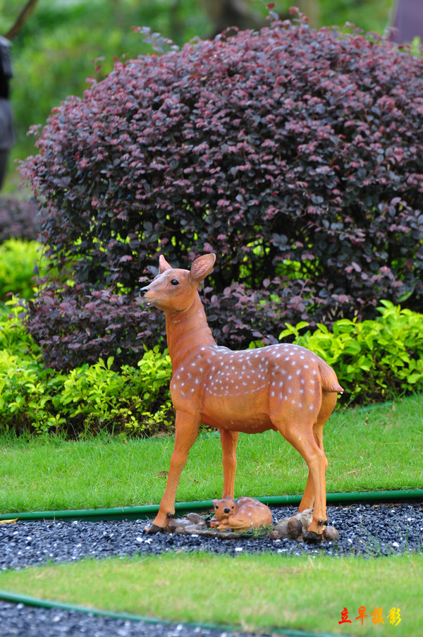 DSC_1419.JPG