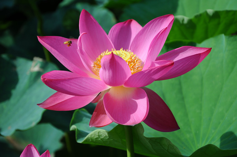 DSC_0855_副本.jpg