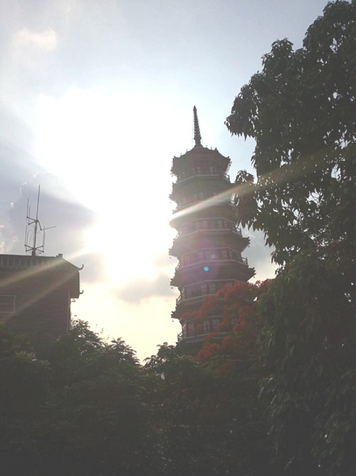 001_conew339.jpg