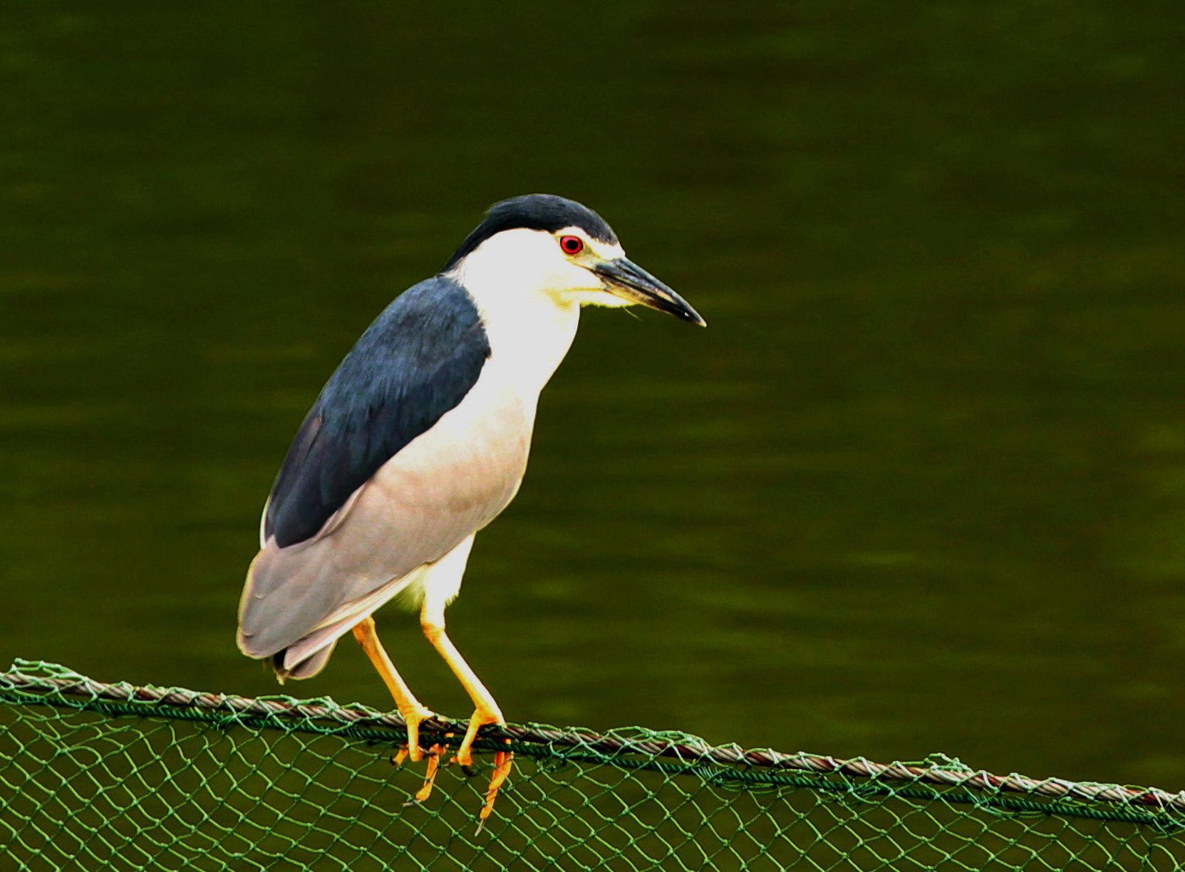 IMG_3732.JPG