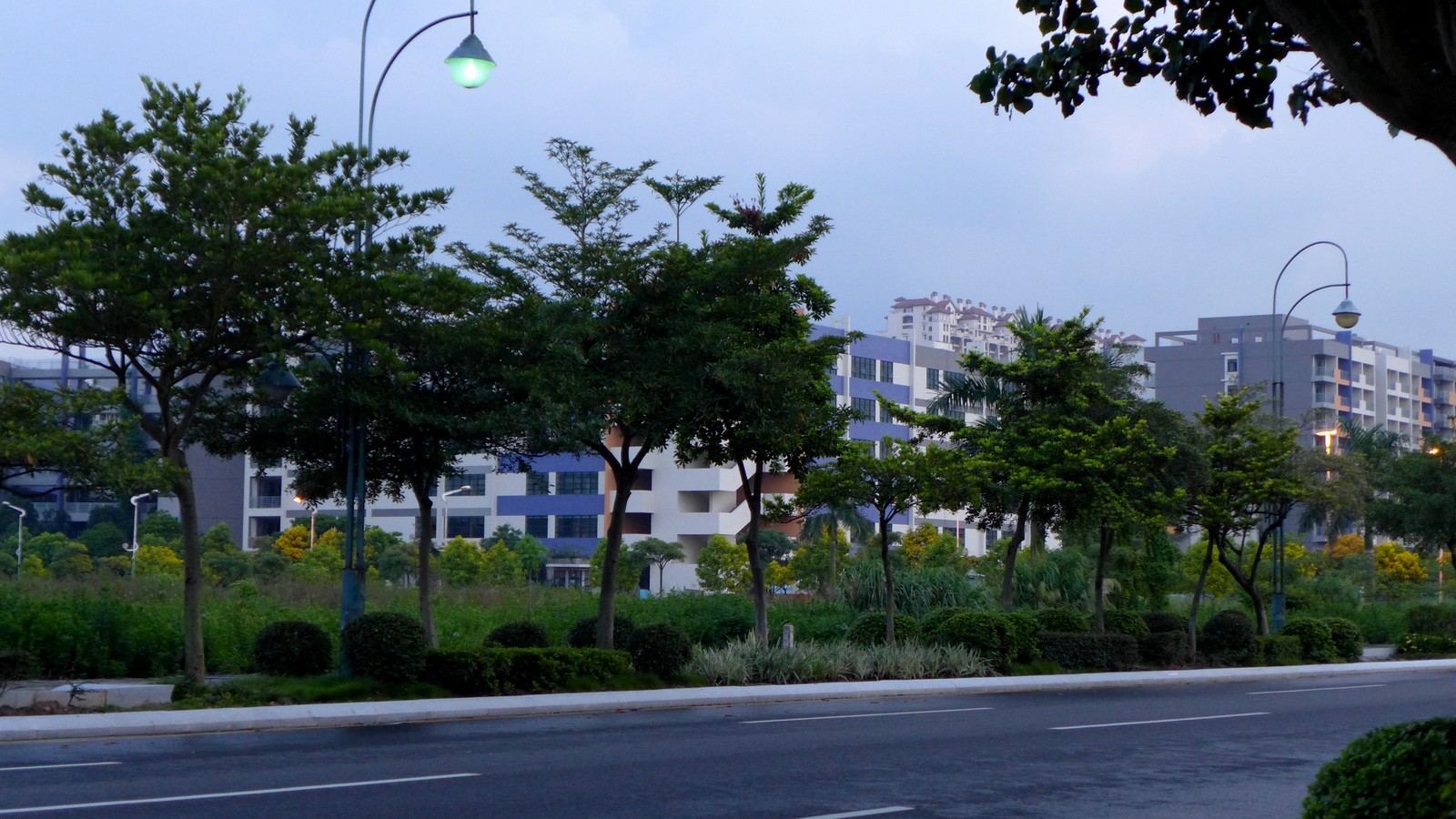 P08.JPG