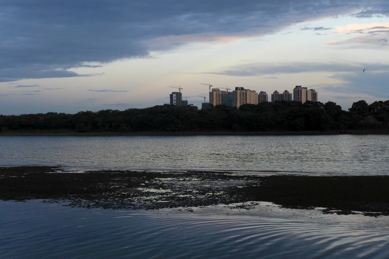 P02.JPG