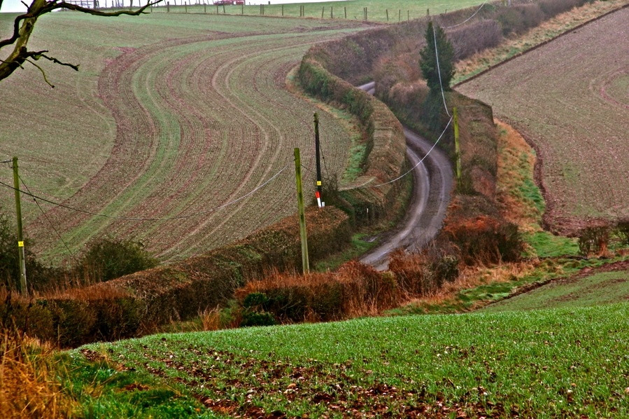 0 (12).jpg