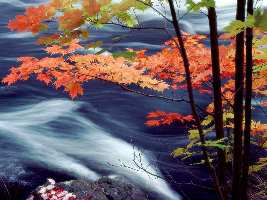 0 (10).jpg
