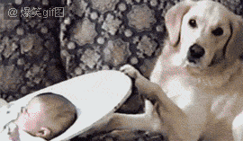 13.gif