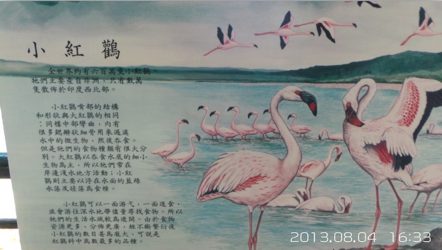 QQͼƬ20130810215802.jpg