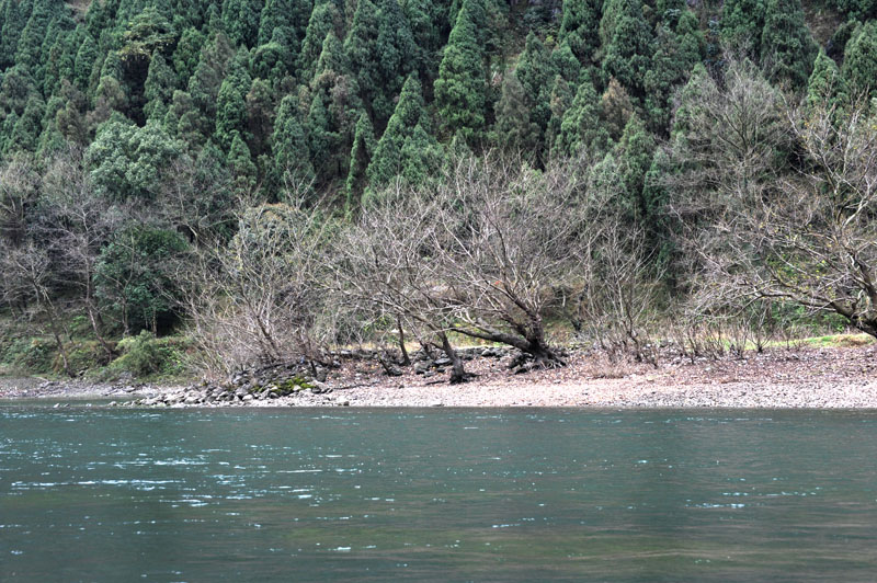 桂林山水 1126.jpg