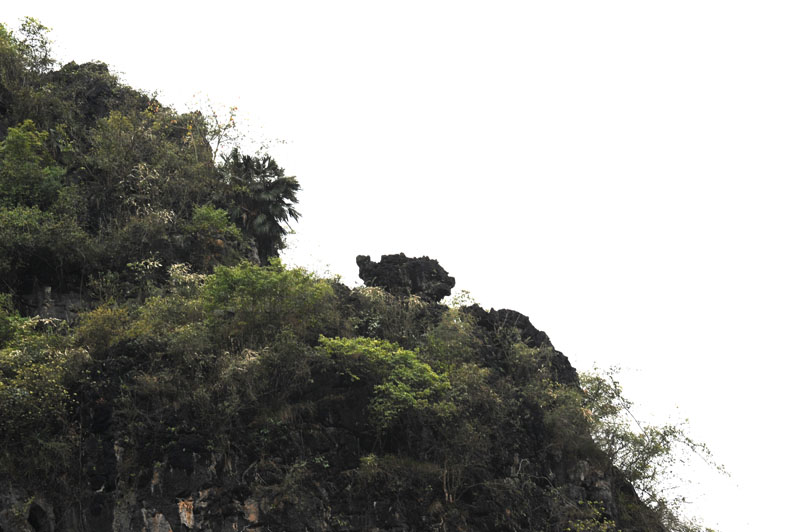 桂林山水 1176.jpg