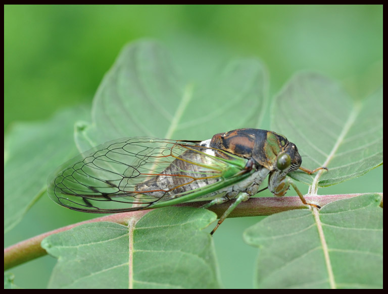DSC_5354.jpg