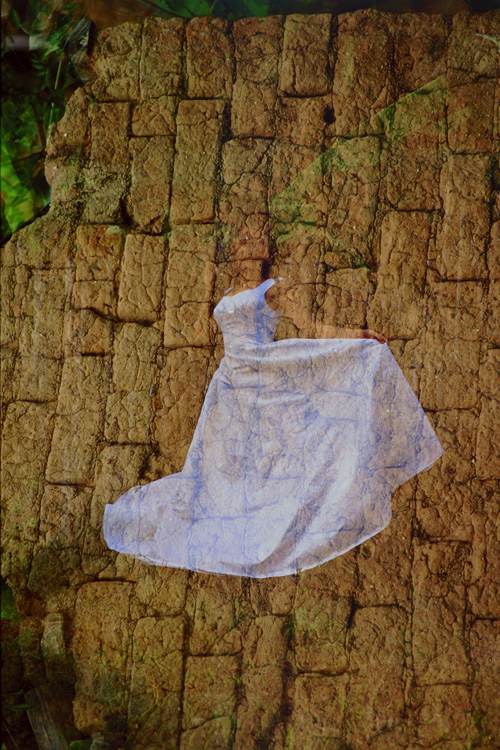 img0010.jpg