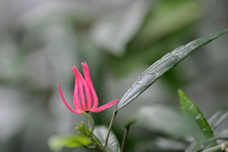 DSC_5210.jpg