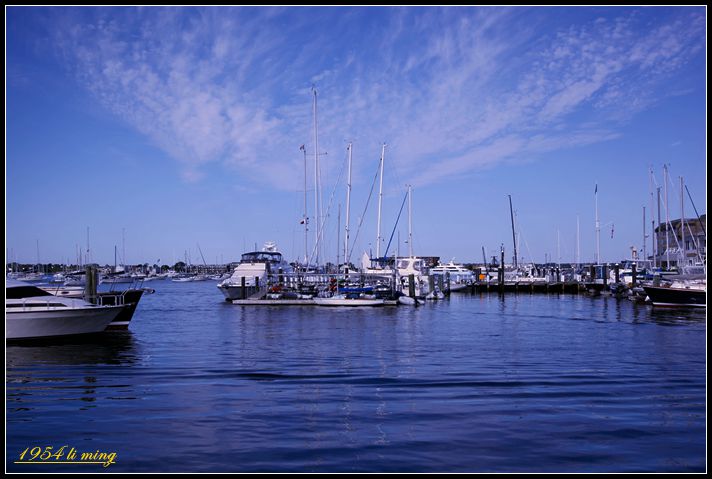 _MG_0012_.jpg