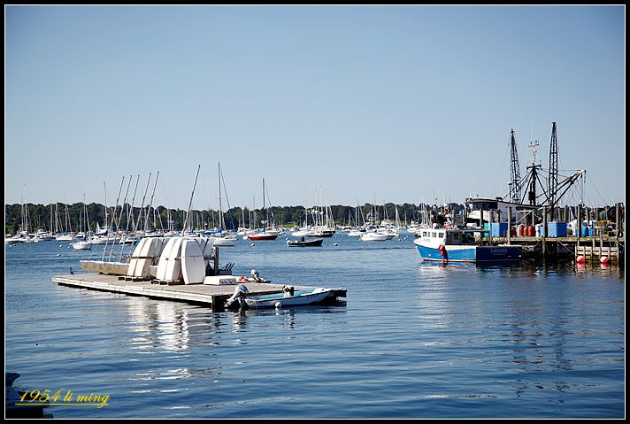_MG_0042_.jpg