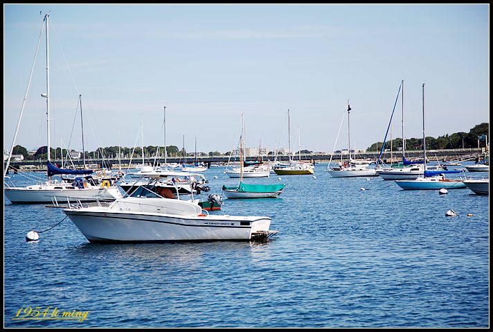 _MG_0067_.jpg