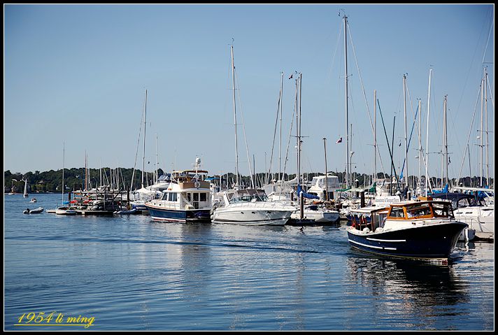 _MG_0040_.jpg