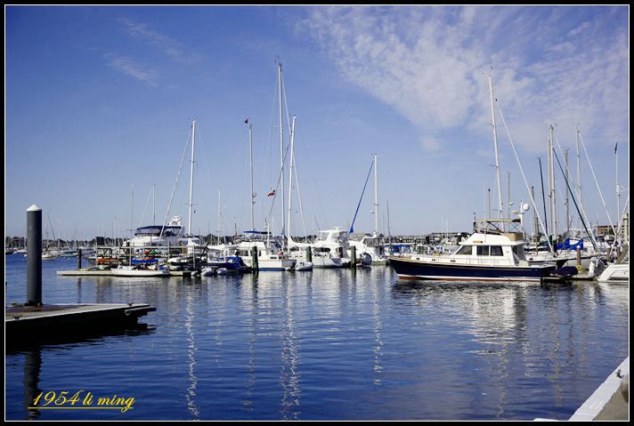 _MG_0010_.jpg