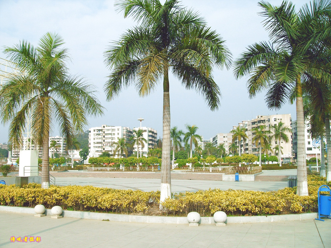 PICT0024_.jpg