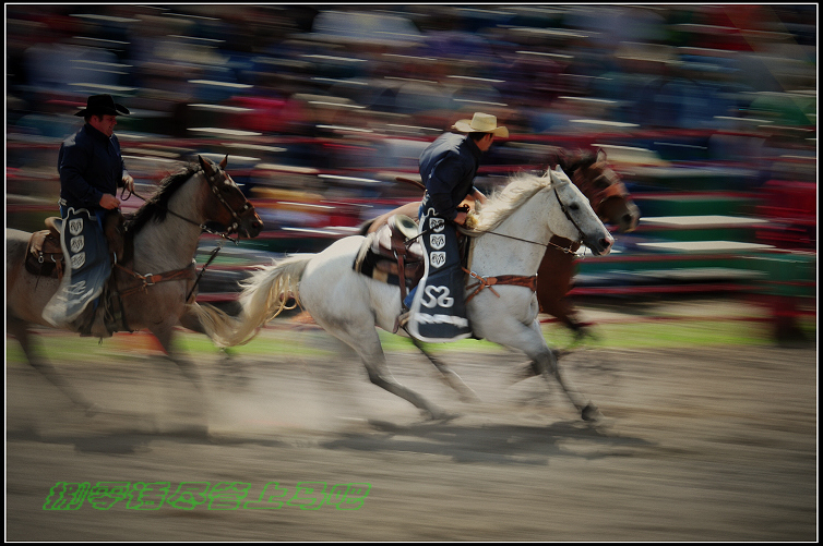 DSC_9572.JPG