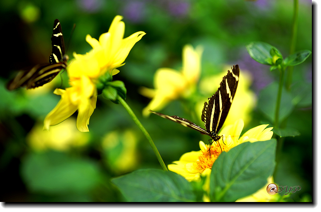 DSC01673_.jpg