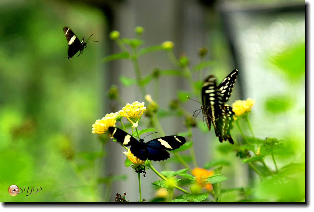 DSC01678_.jpg