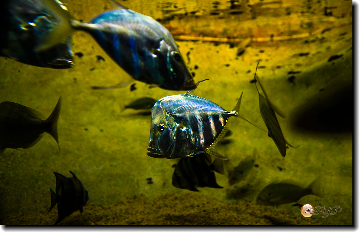 DSC02110_.jpg