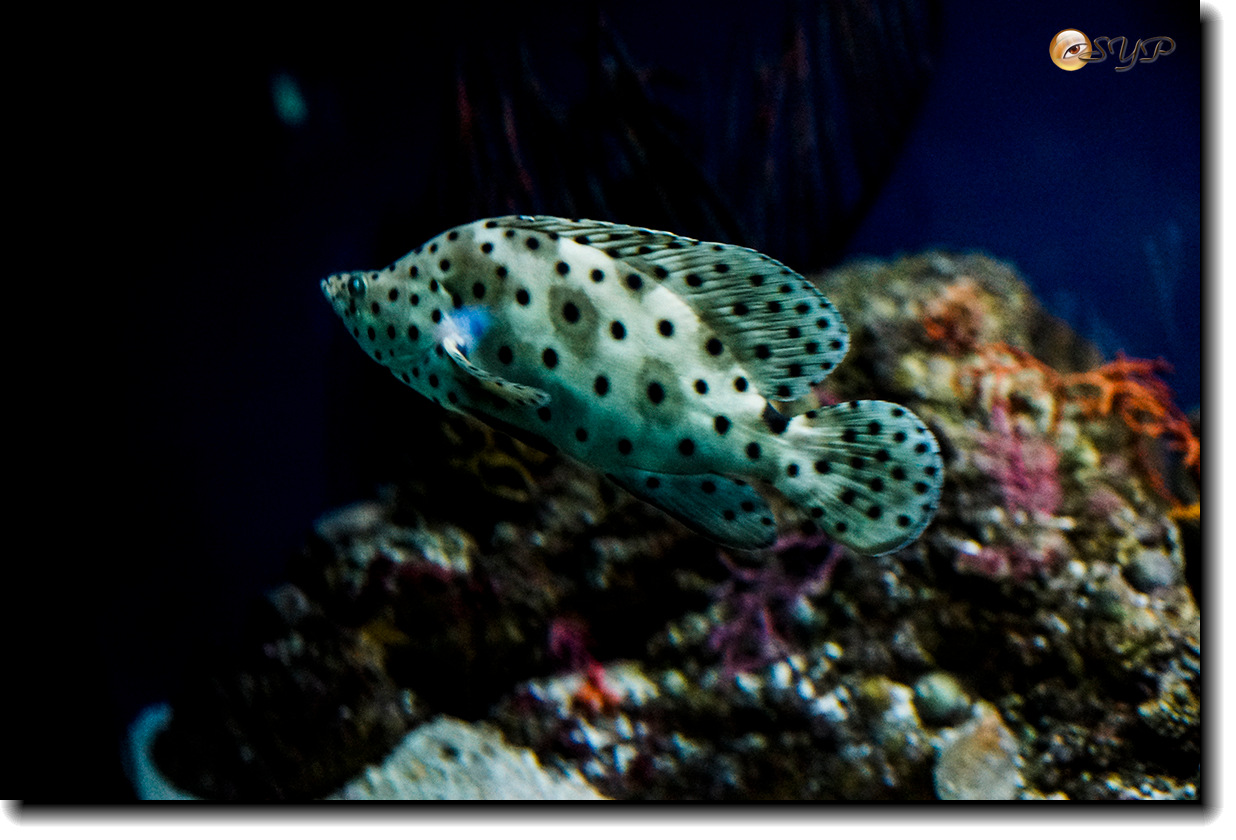 DSC02172_.jpg