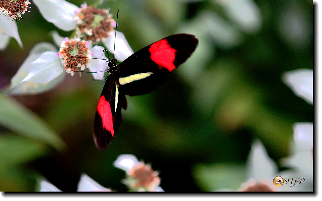 DSC01733_.jpg