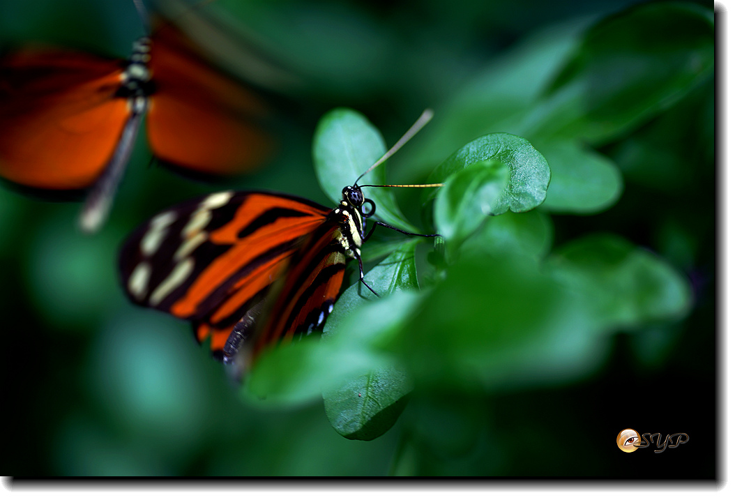 DSC01787_.jpg