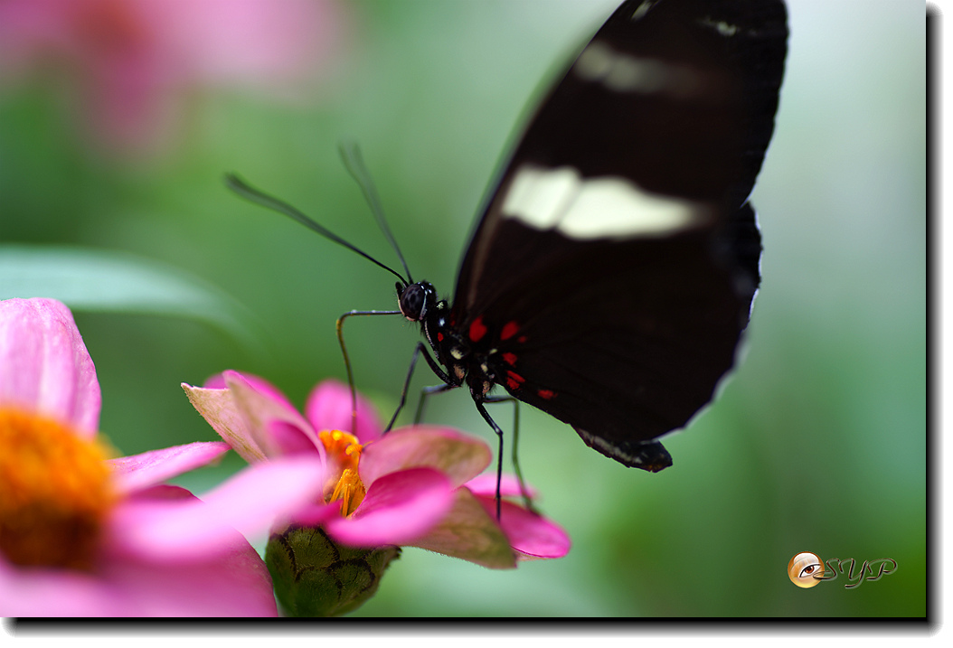 DSC01767_.jpg