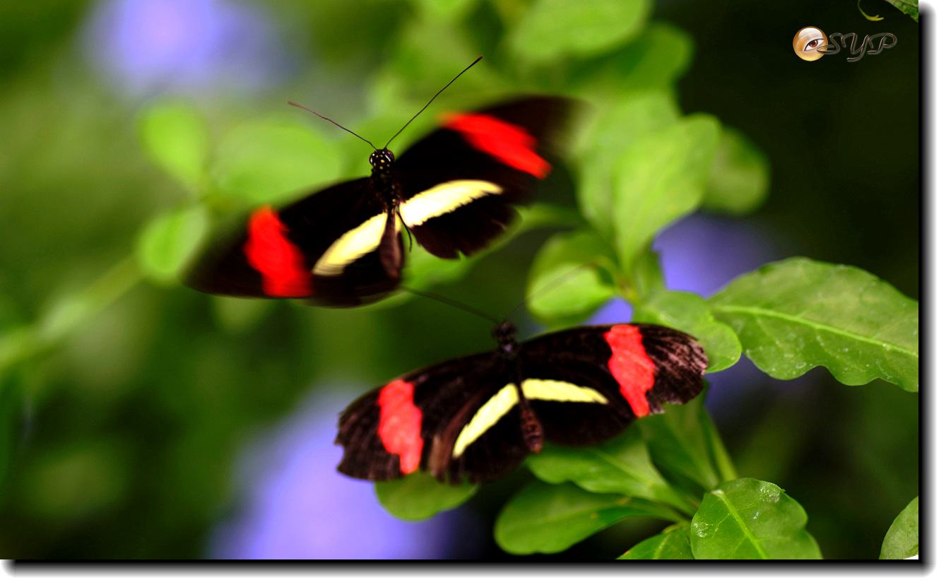 DSC01575_.jpg