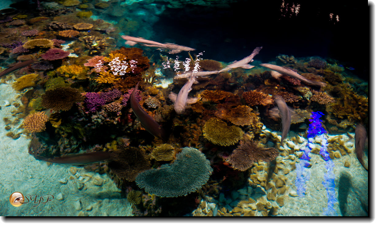 DSC02090_.jpg