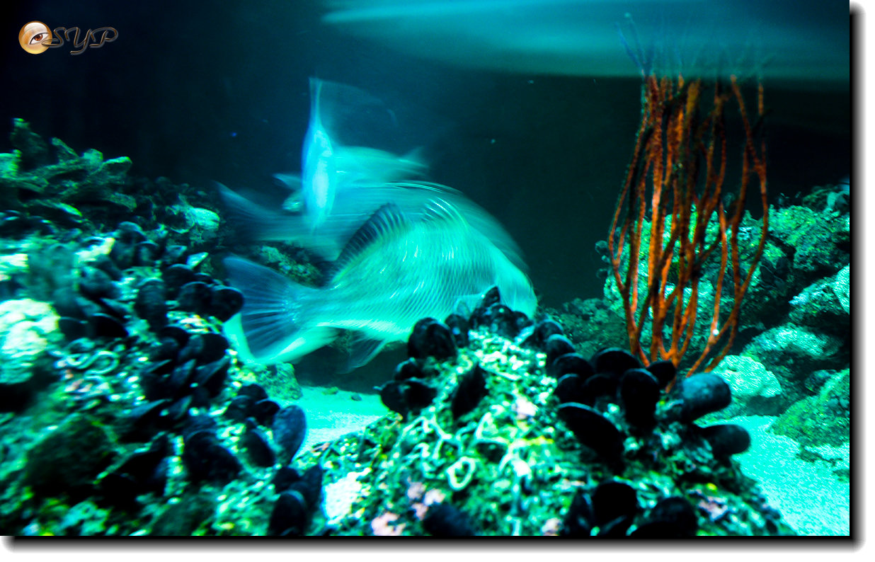 DSC02117_.jpg