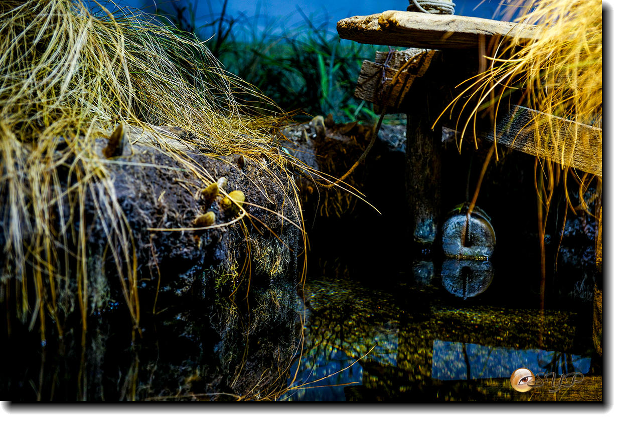 DSC02109_.jpg