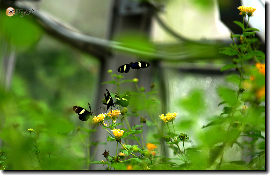 DSC01664_.jpg