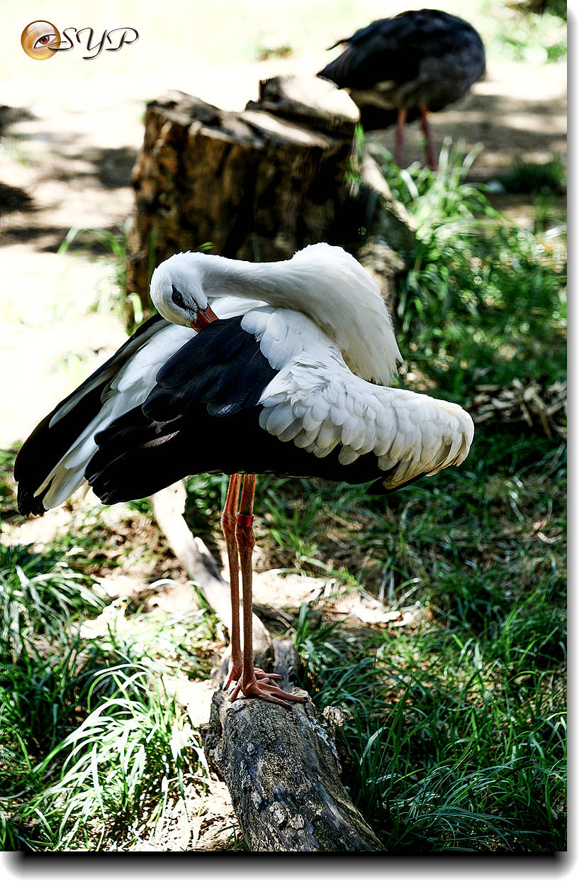 DSC02514_.jpg