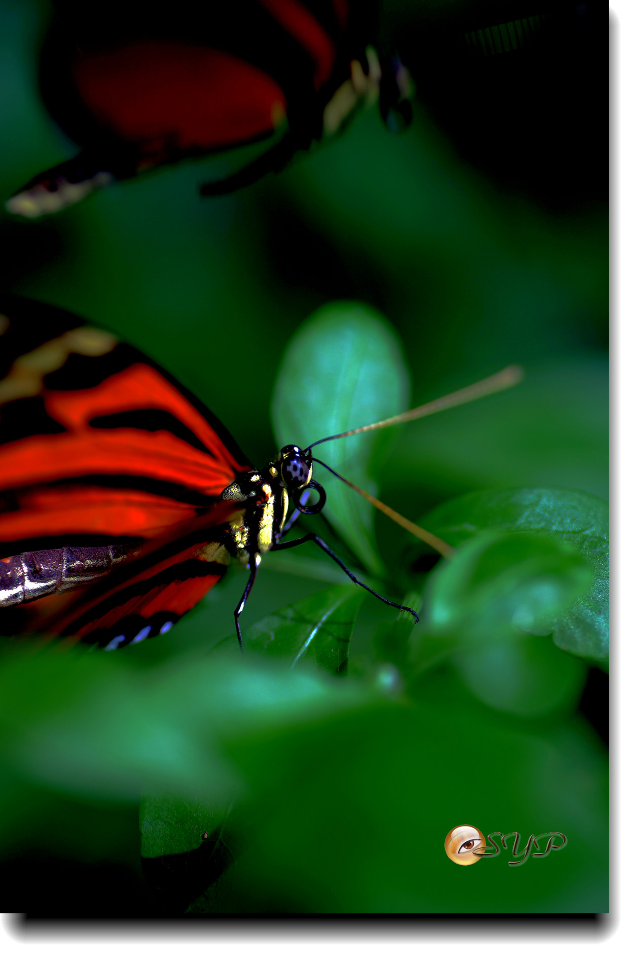 DSC01779_.jpg
