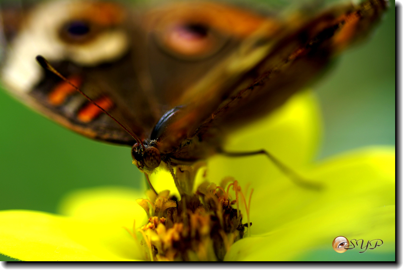 DSC01766_.jpg